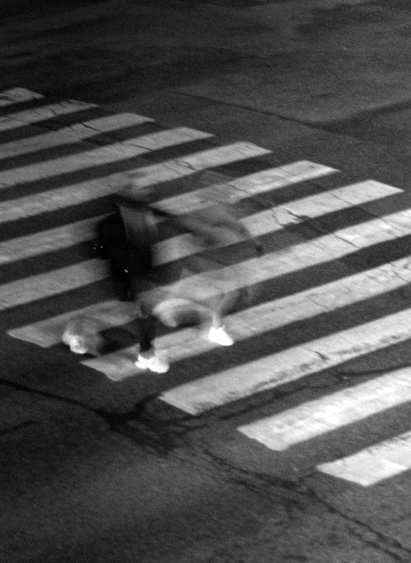 portrait photography